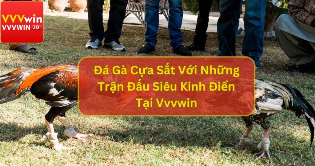 Đá Gà Cựa Sắt Với Những Trận Đấu Siêu Kinh Điển Tại Vvvwin