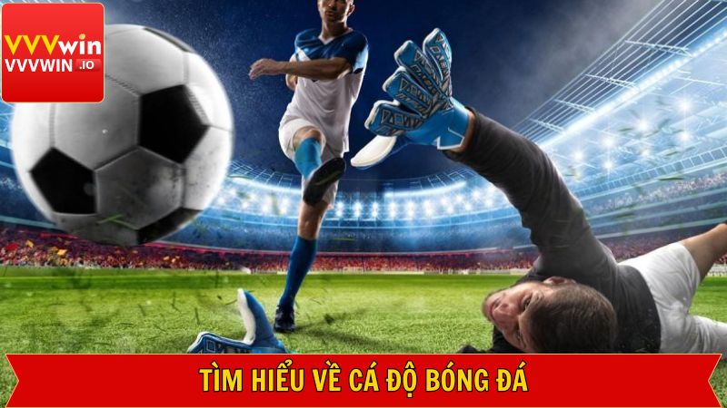 Cá Độ Bóng Đá Tại Vvvwin Dễ Dàng, Mang Lại Thắng Lợi Lớn 2 Thông tin về hoạt động cá cược trong môn thể thao